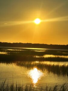 Coastal Wetland